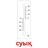 суық picture flashcards