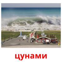 цунами picture flashcards