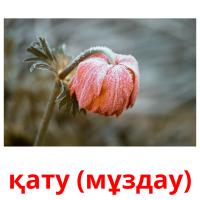 қату (мұздау) picture flashcards
