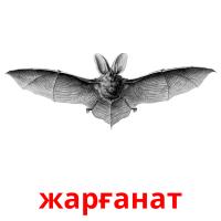 жарғанат picture flashcards