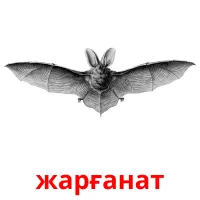 жарғанат карточки энциклопедических знаний