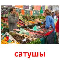 сатушы picture flashcards