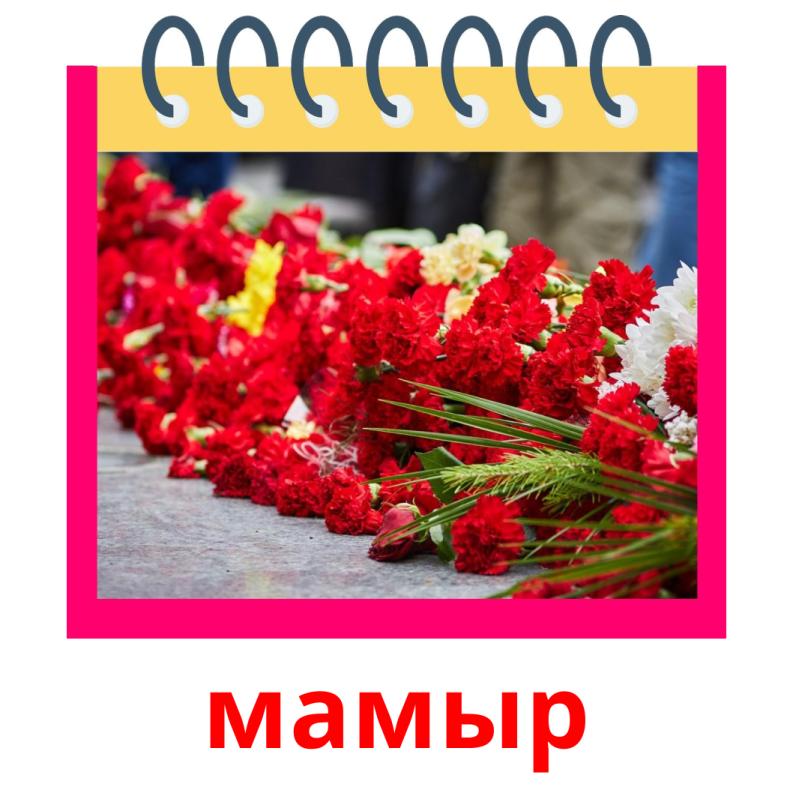 мамыр picture flashcards