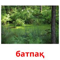 батпақ picture flashcards