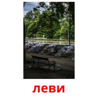 леви picture flashcards