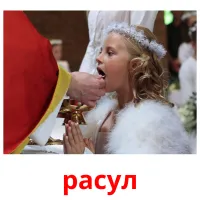 расул picture flashcards