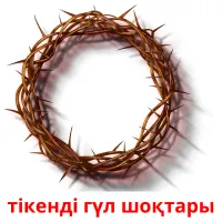 тікенді гүл шоқтары picture flashcards