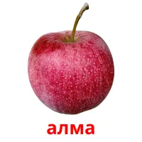 алма picture flashcards