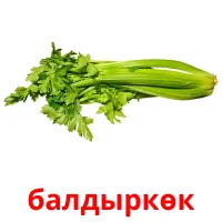 балдыркөк карточки энциклопедических знаний