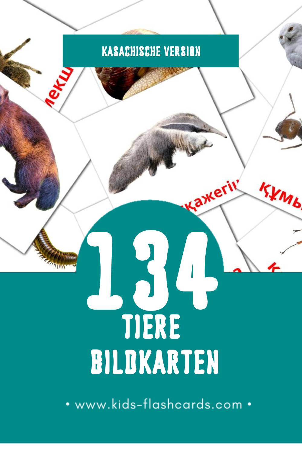 Visual Жануарлар Flashcards für Kleinkinder (134 Karten in Kasachisch)