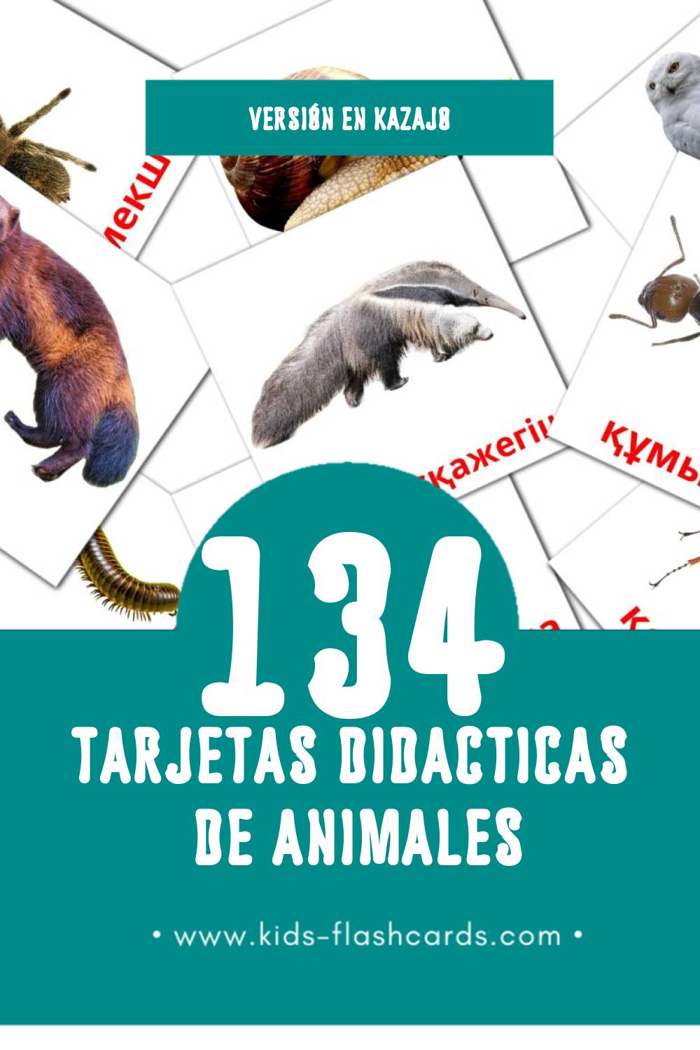 Tarjetas visuales de Жануарлар para niños pequeños (134 tarjetas en Kazajo)