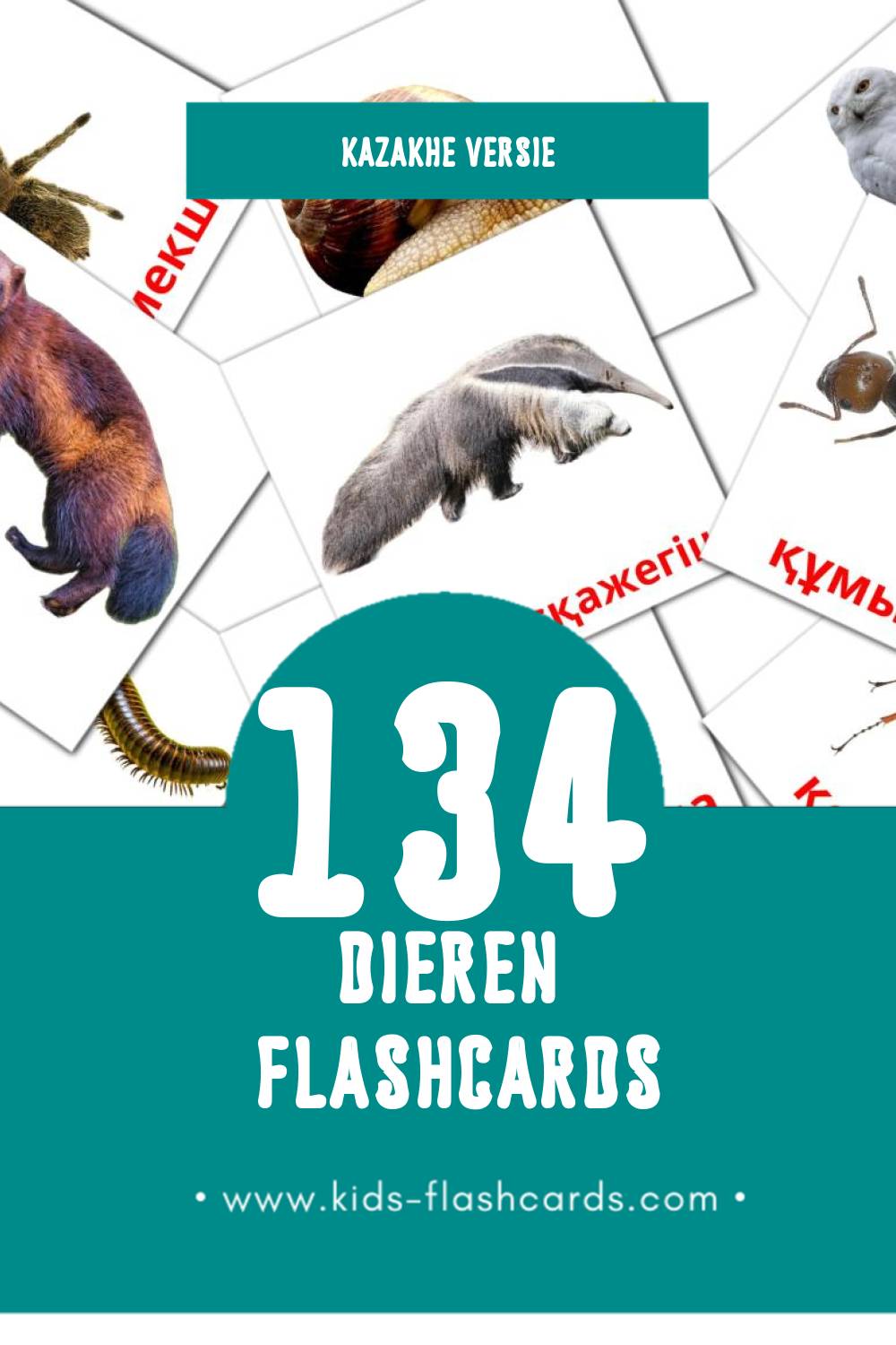 Visuele Жануарлар Flashcards voor Kleuters (134 kaarten in het Kazakh)