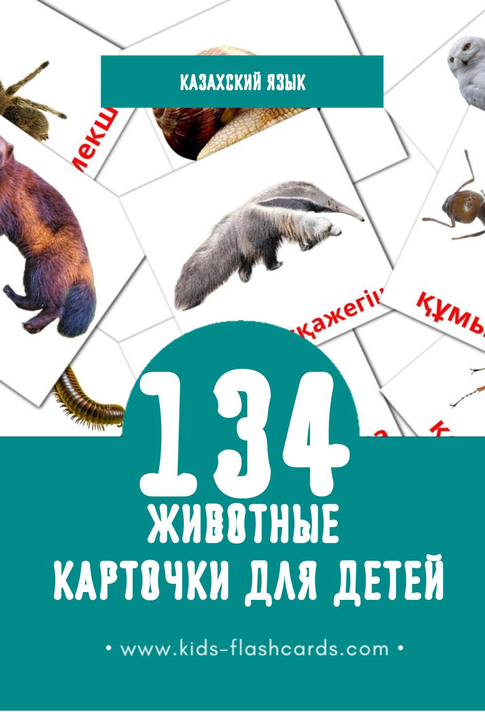 "Жануарлар" - Визуальный Казахском Словарь для Малышей (134 картинок)