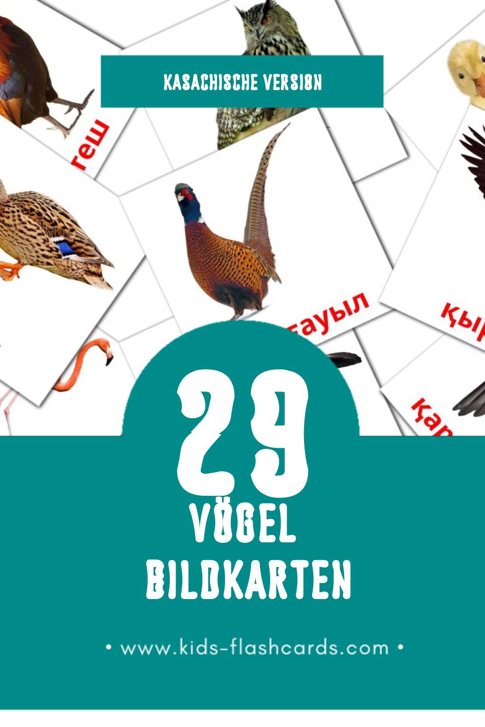 Visual Кус Flashcards für Kleinkinder (29 Karten in Kasachisch)