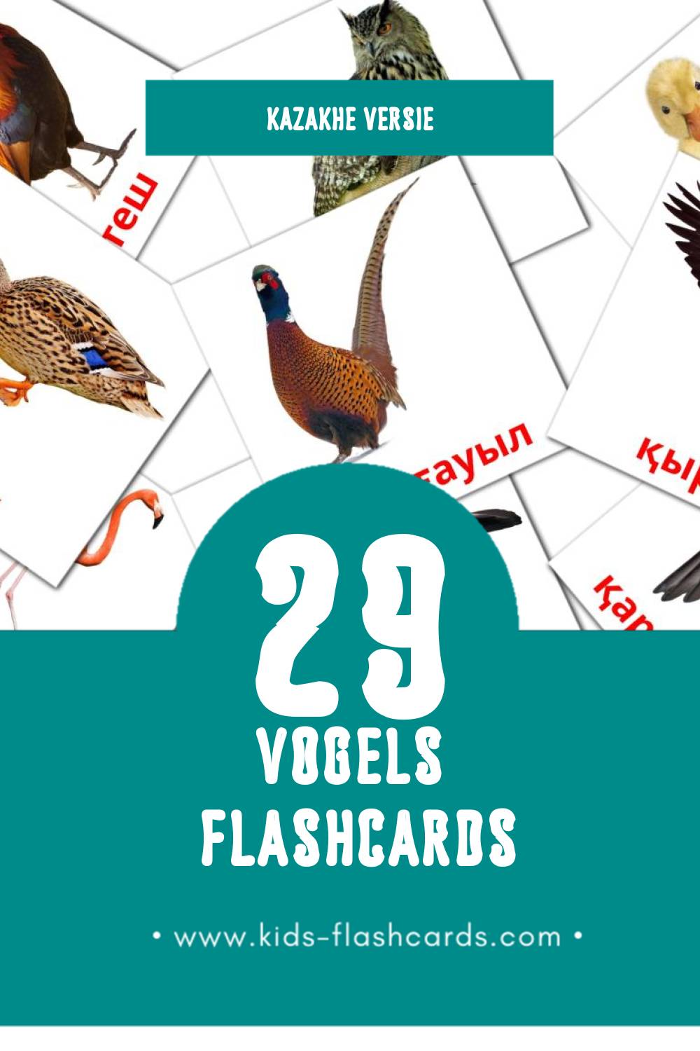 Visuele Кус Flashcards voor Kleuters (29 kaarten in het Kazakh)