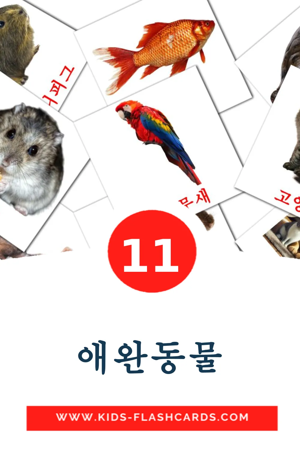 11 애완동물 fotokaarten voor kleuters in het koreaanse