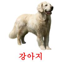 강아지 card for translate