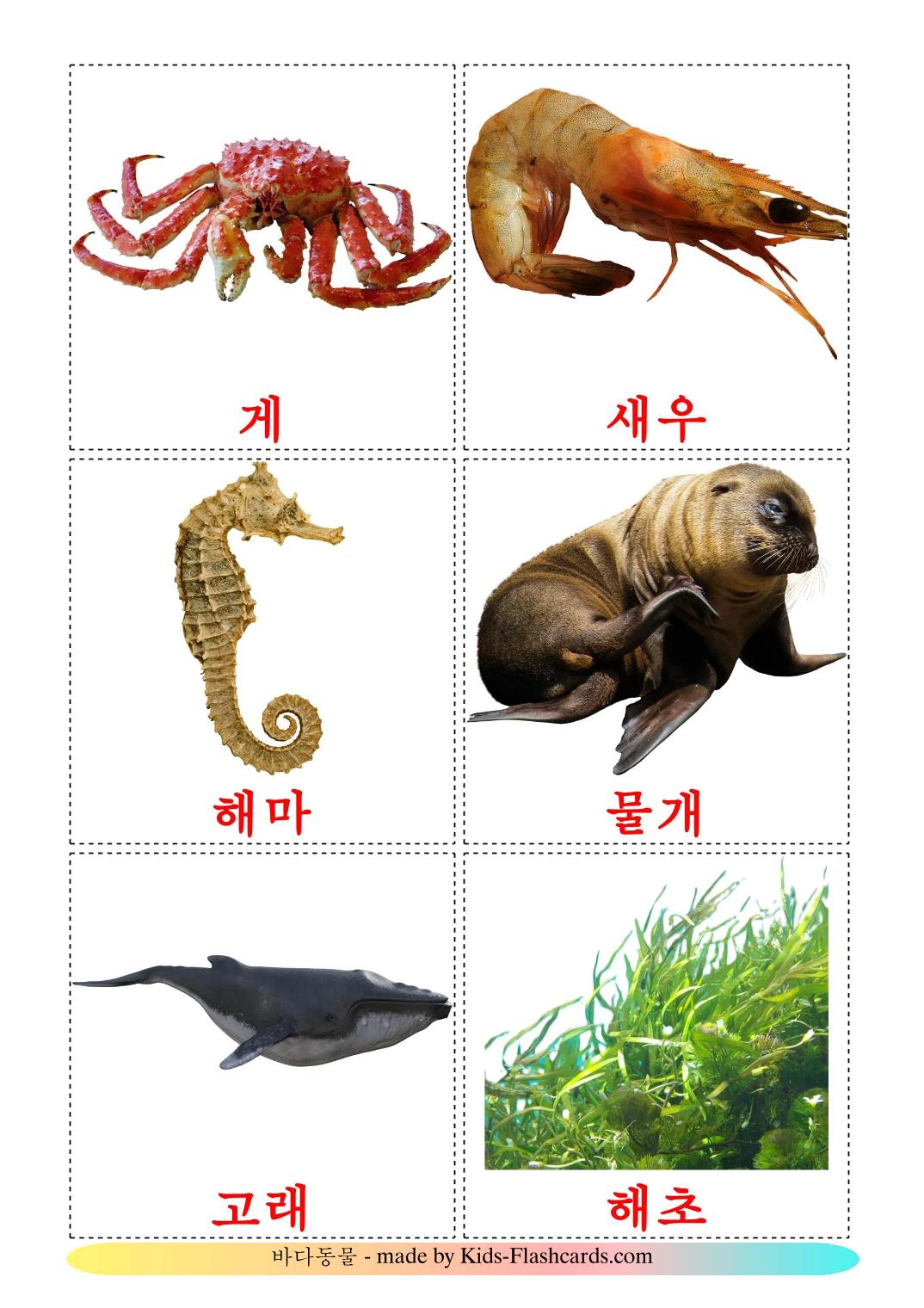 Zeedieren - 30 gratis printbare koreaansee kaarten