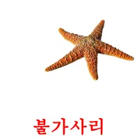 불가사리 ansichtkaarten