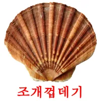 조개껍데기 ansichtkaarten