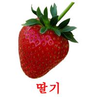 딸기 card for translate