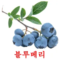 블루베리 ansichtkaarten