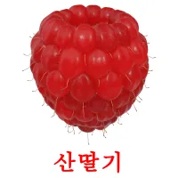 산딸기 ansichtkaarten