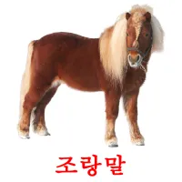 조랑말 ansichtkaarten