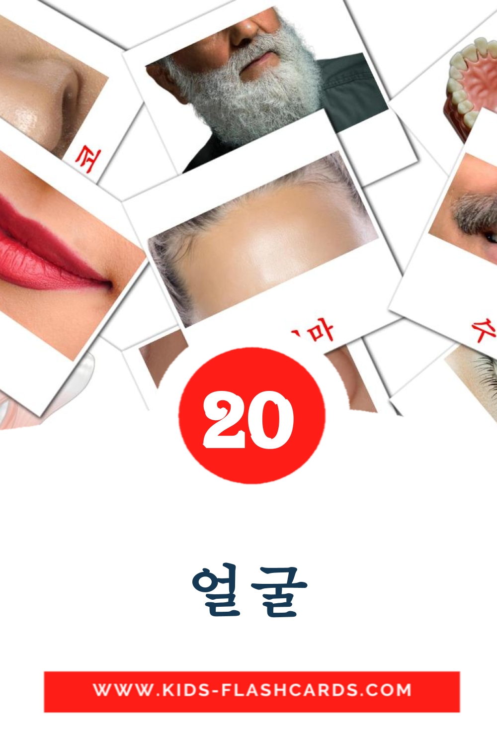 20 얼굴 Picture Cards for Kindergarden in korean