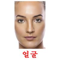 얼굴 card for translate