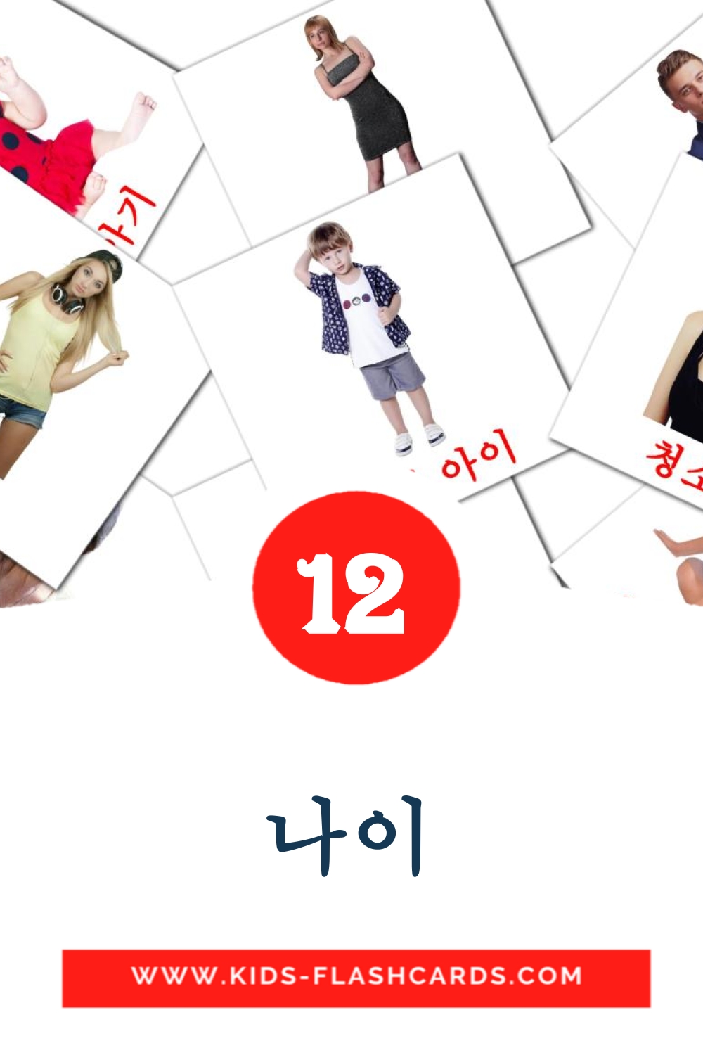 12 나이 Picture Cards for Kindergarden in korean