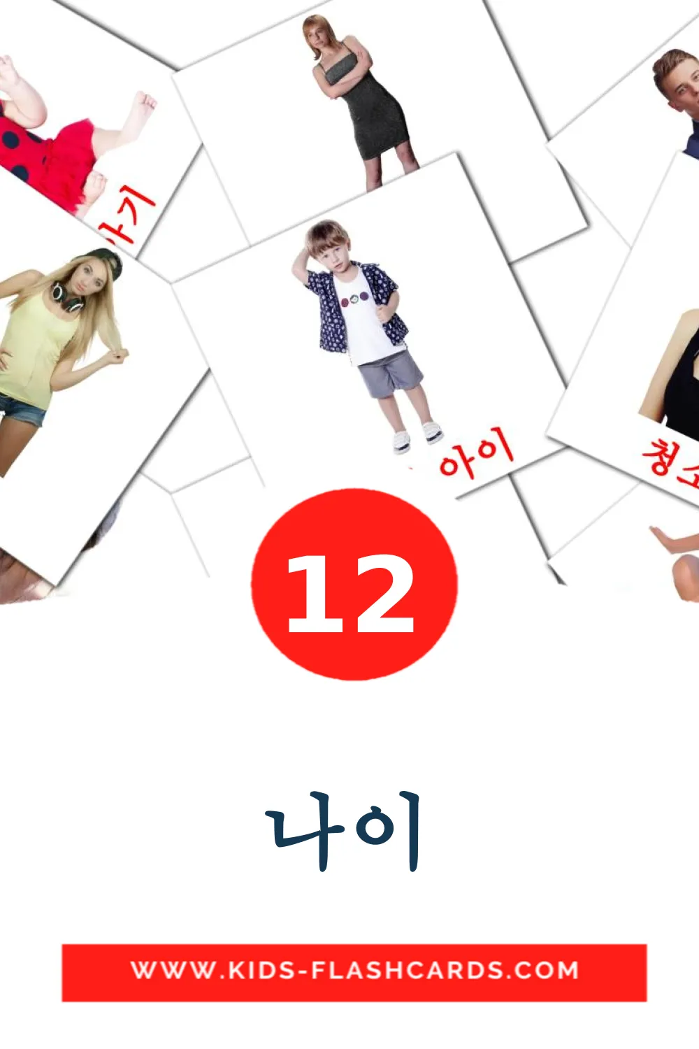 12 나이 Picture Cards for Kindergarden in korean