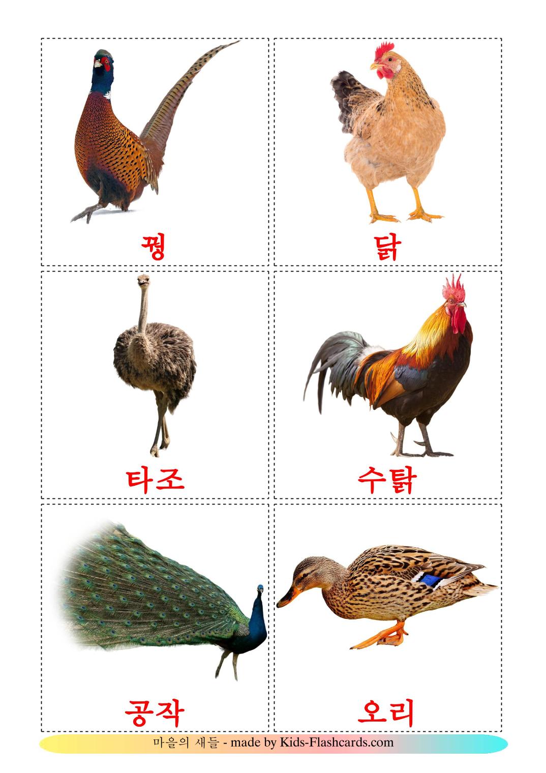 Farm birds - 11 Free Printable korean Flashcards 