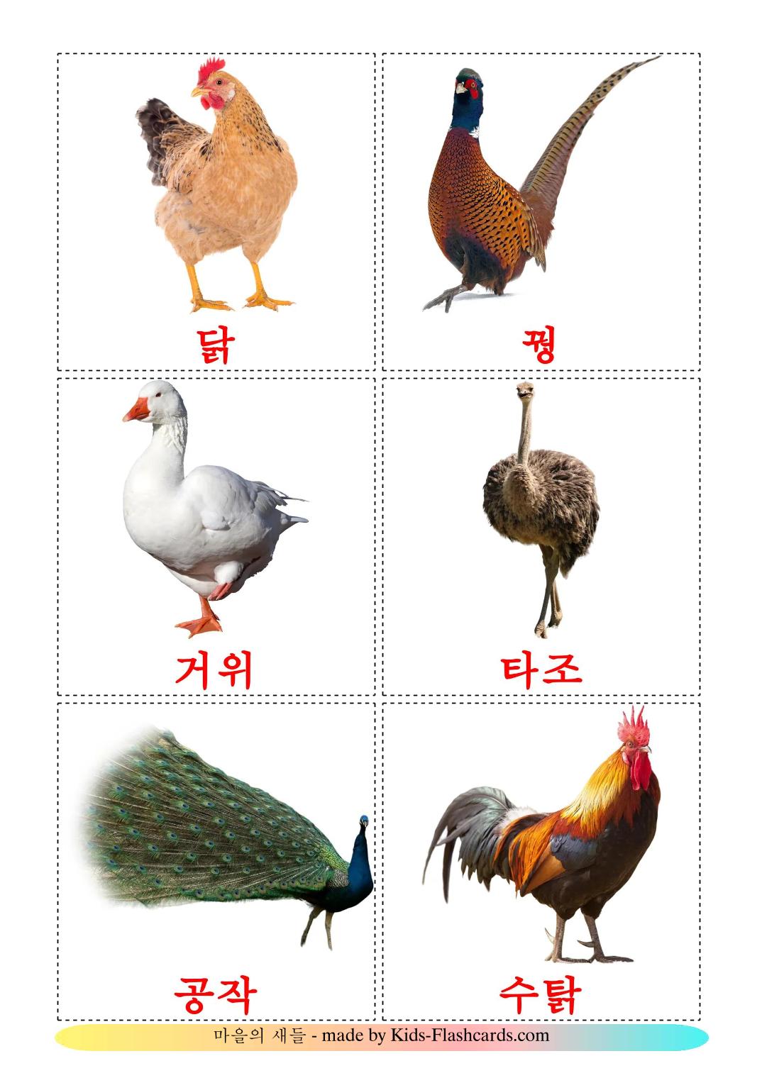 Bauernhof Vögel - 12 kostenlose, druckbare Koreanisch Flashcards 