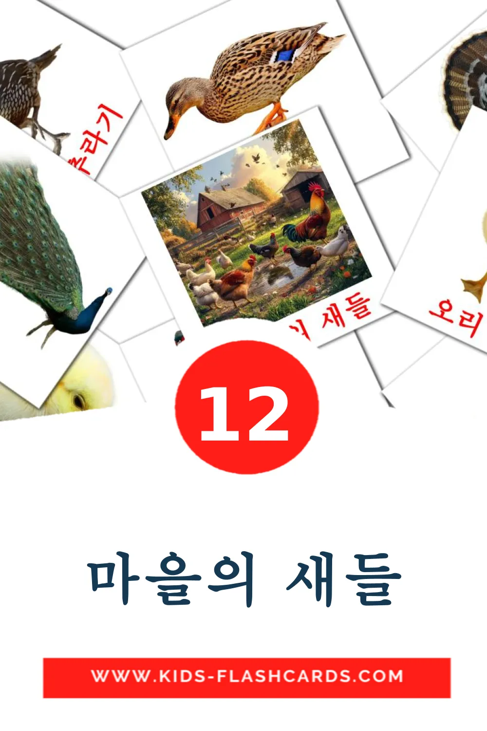 12 마을의 새들 Bildkarten für den Kindergarten auf Koreanisch