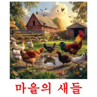 마을의 새들 Bildkarteikarten