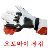 오토바이 장갑 Bildkarteikarten