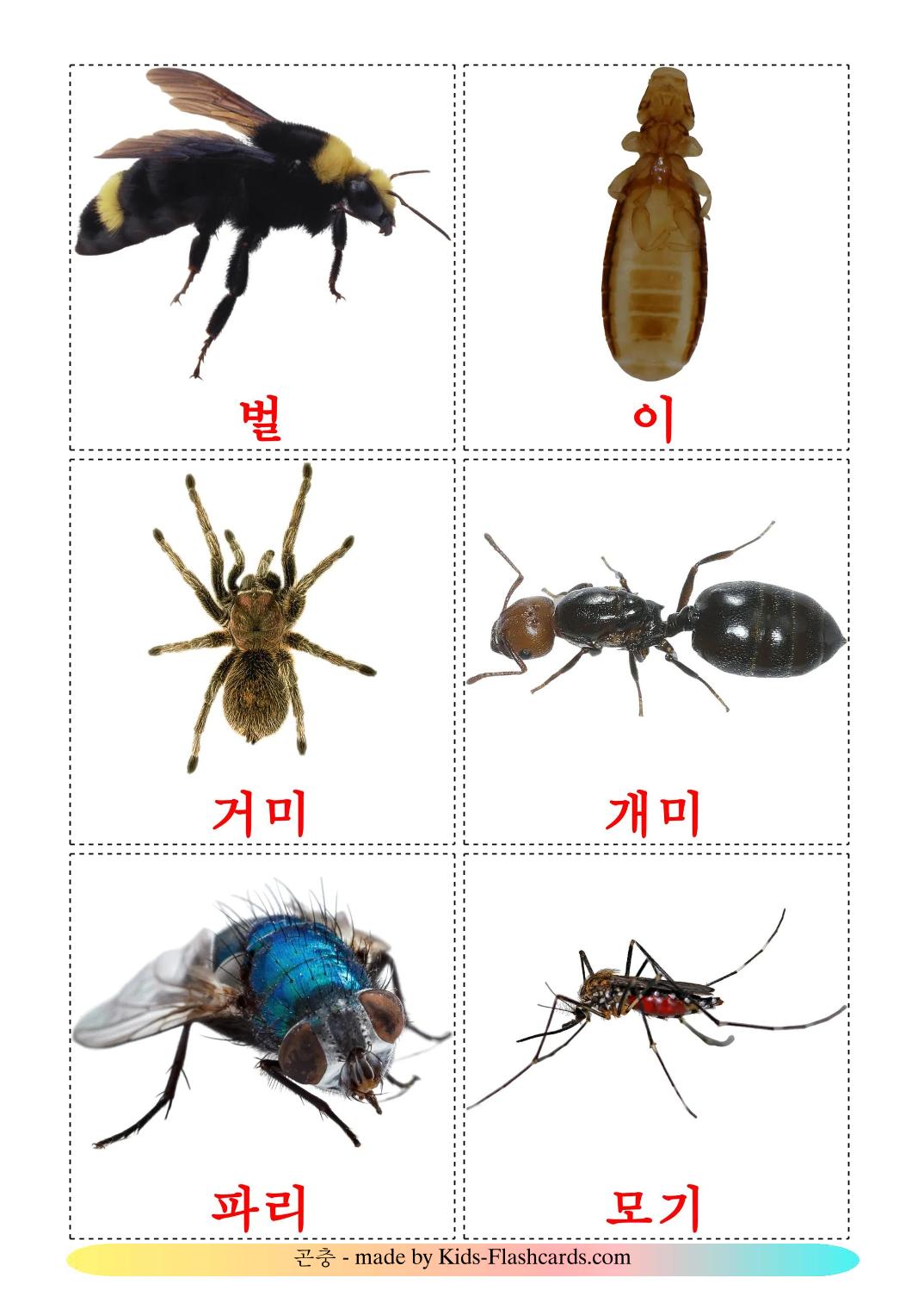 Insecten - 24 gratis printbare koreaansee kaarten