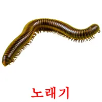 노래기 ansichtkaarten