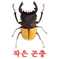 작은 곤충 ansichtkaarten