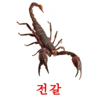 전갈 ansichtkaarten