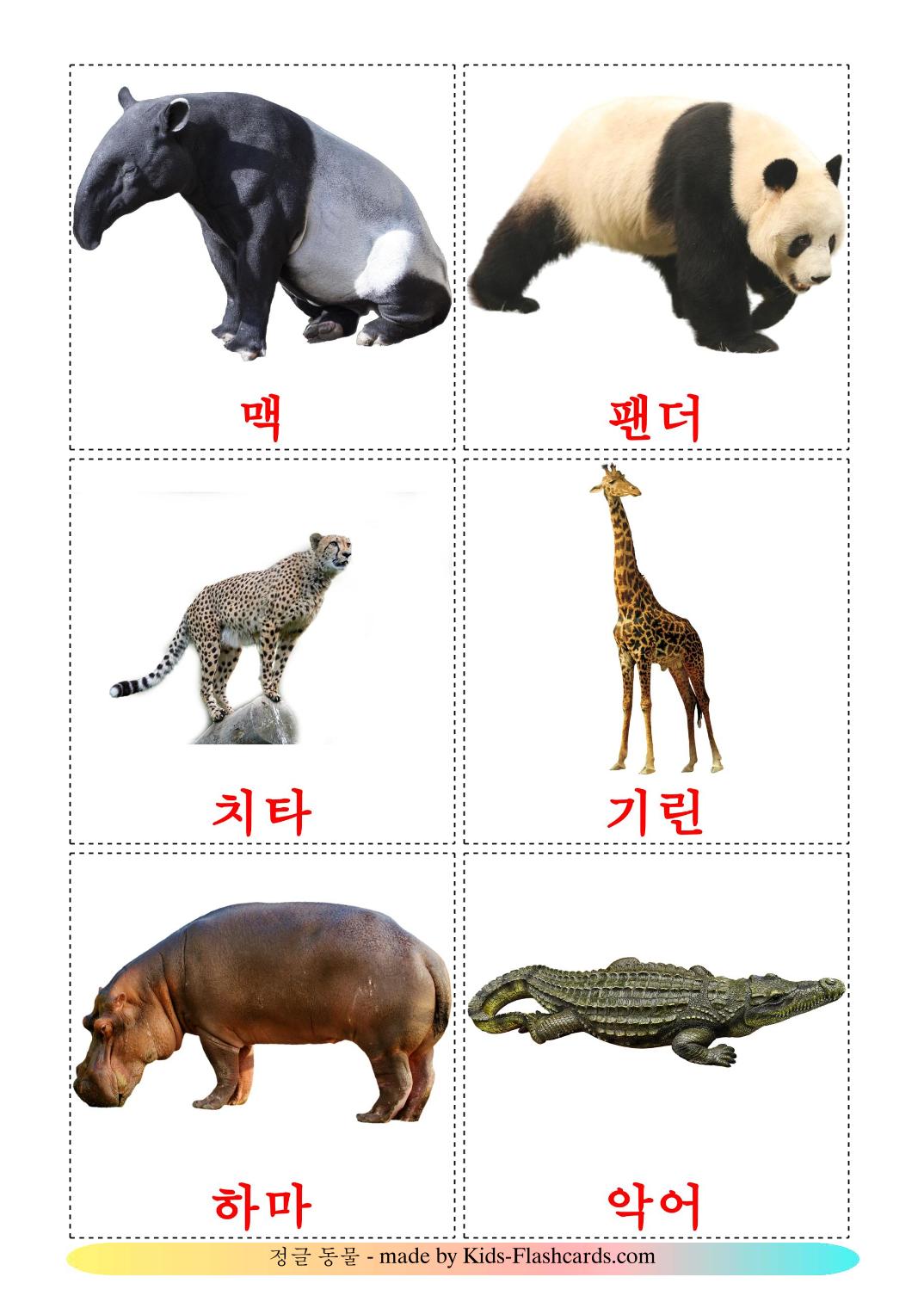 Jungle animals - 21 Free Printable korean Flashcards 