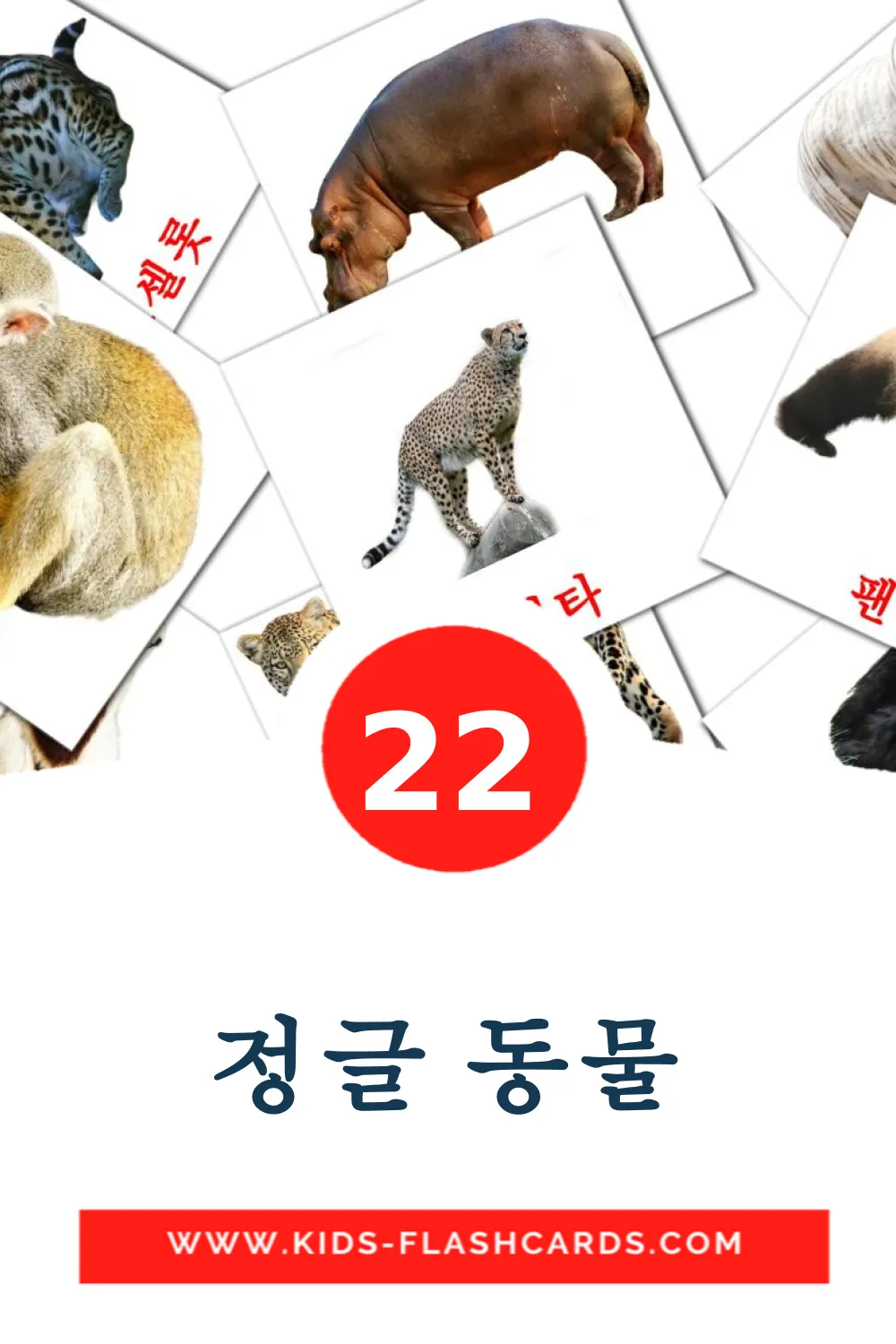 22 정글 동물 fotokaarten voor kleuters in het koreaanse