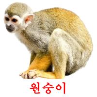원숭이 card for translate