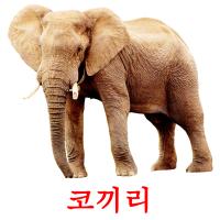 코끼리 card for translate