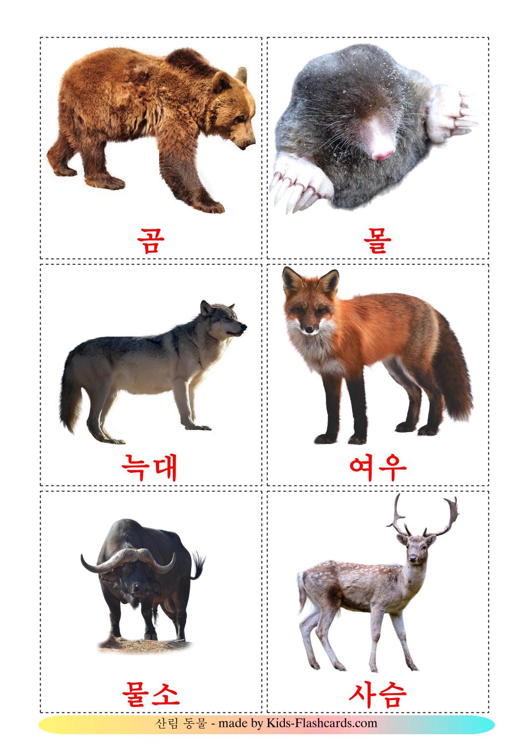 Animali della foresta - 22 flashcards coreano stampabili gratuitamente