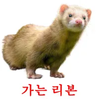 가는 리본 ansichtkaarten