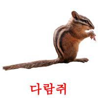 다람쥐 карточки энциклопедических знаний