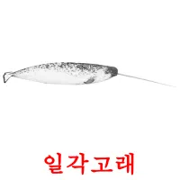 일각고래 Bildkarteikarten