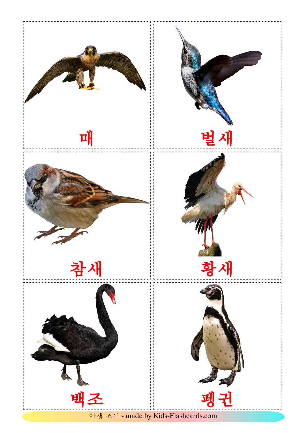 Wild birds - 18 Free Printable korean Flashcards 